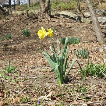 Isham Park - Parks Near Me - New York, New York