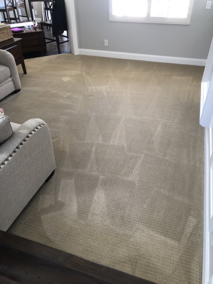 PRO GREEN CARPET CLEAN Updated September 2024 181 Photos & 370