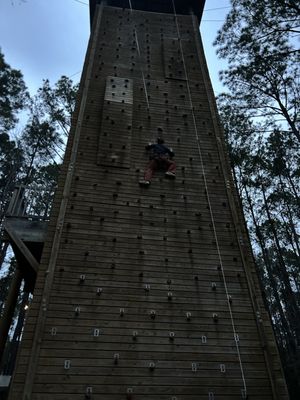 Charleston Adventure Forest by null