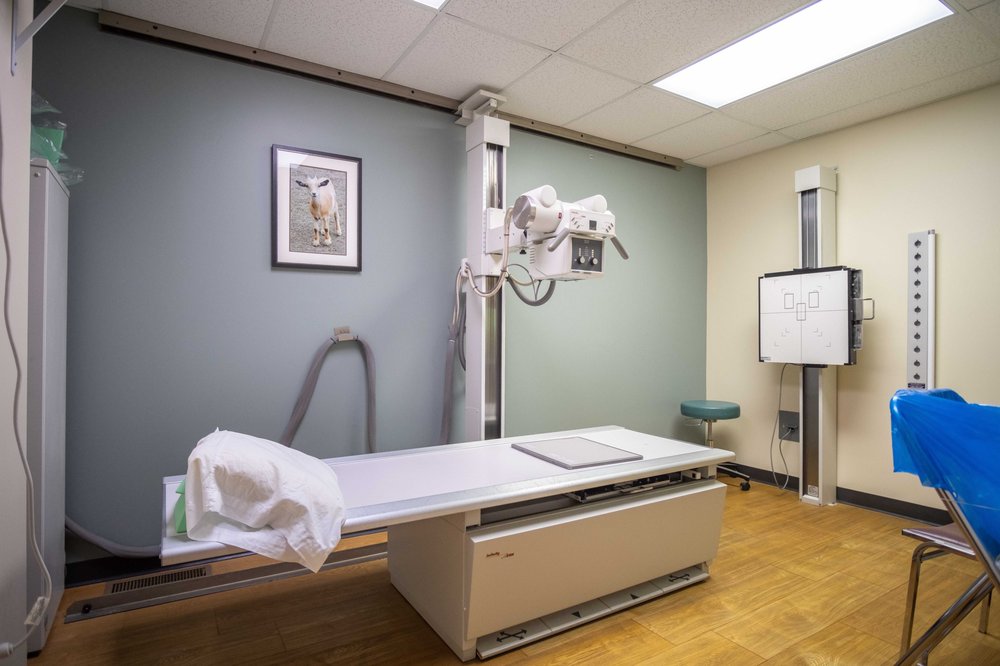 HENRY FORD LAB SERVICES - DETROIT NORTHWEST - Updated July 2025 - 7800 ...