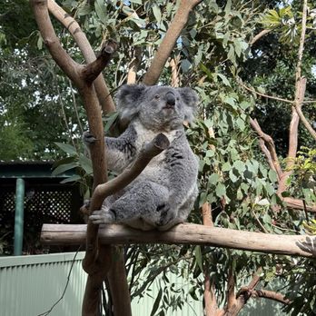 Featherdale Wildlife Park - Parks Near Me - Doonside, NSW Featherdale Wildlife Park - Parks Near Me - Doonside, NSW