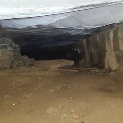 Environmental Resources - Wet - Damp Crawlspace
