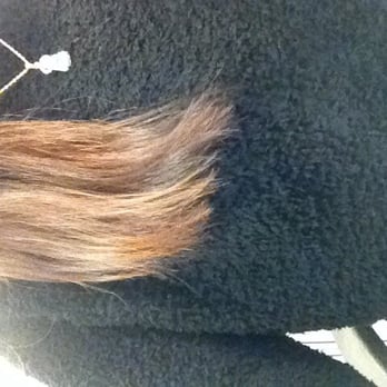 Avalon Salon - Blunt ends. :( - Hair Salons Near Me - Orange, California Avalon Salon - Blunt ends. :( - Hair Salons Near Me - Orange, California