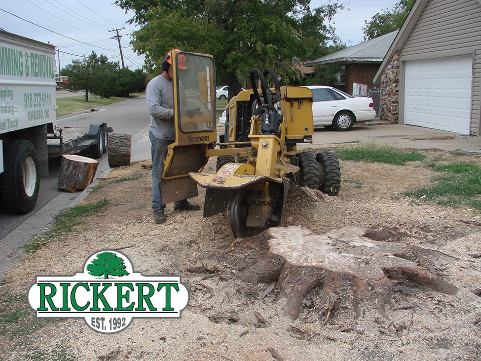 Rickert Landscaping & Tree Service - tree service in Tulsa, OK