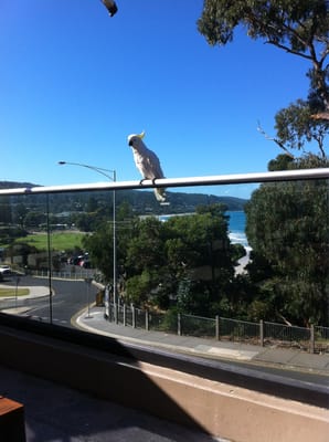Lorne Hotel by null