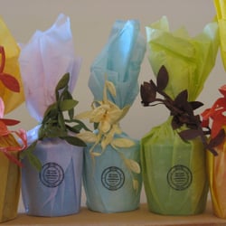 Autumn Meadow Trading Co