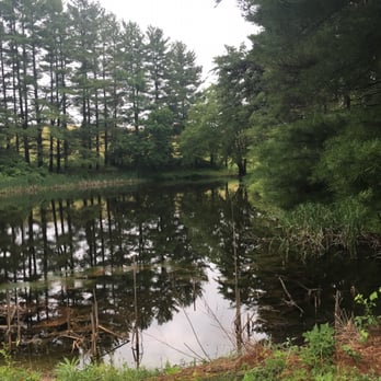 Best Nest Cabins - Guest Houses Near Me - Logan, Ohio