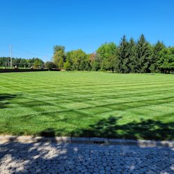 Makenzies Lawn Care - Customer Lawn