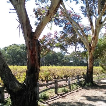 Lake Breeze Winery - Wineries Near Me - Langhorne Creek, SA
