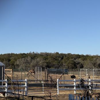 Grapetown Vineyard - Wineries Near Me - Fredericksburg, Texas