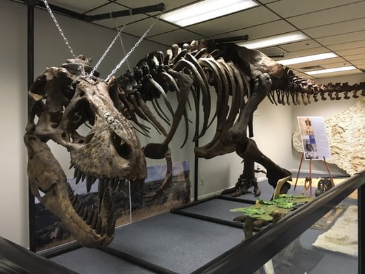 Earth Experience - Middle Tennessee Museum of Natural History by null