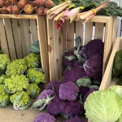 Dear Table Farm has the prettiest produce I've ever seen!