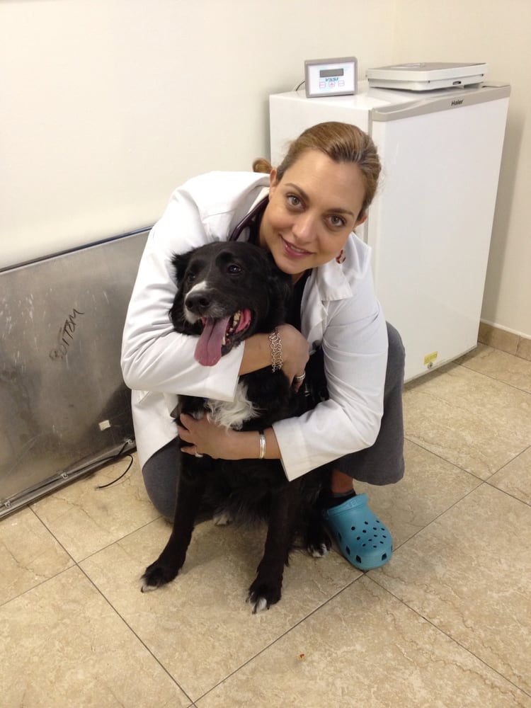 NEW YORK VETERINARY PRACTICE - Updated October 2025 - 14 Photos - 1535