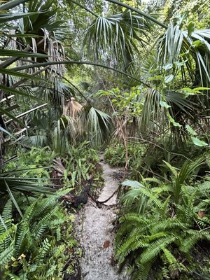 Kelly Park - Rock Springs by null