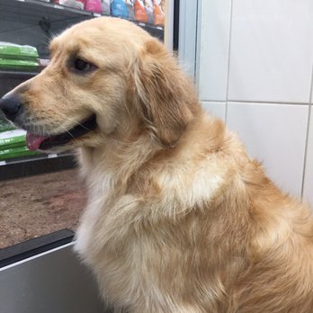 Hollywood Feed - All clean! - Pet Stores Near Me - Birmingham, Michigan Hollywood Feed - All clean! - Pet Stores Near Me - Birmingham, Michigan
