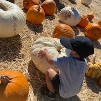 Queens Pumpkin Patch - Pumpkin Patches Near Me - Saratoga, California