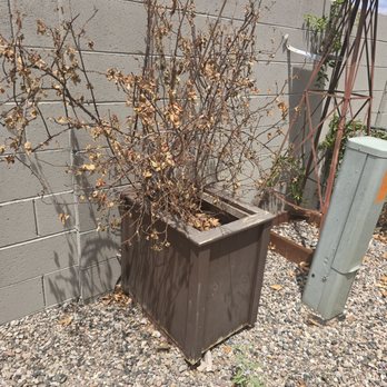 Aspen Landscaping - Landscaping Near Me - Prescott Valley, Arizona