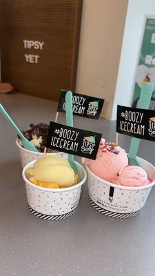 Tipsy Scoop Nashville by null