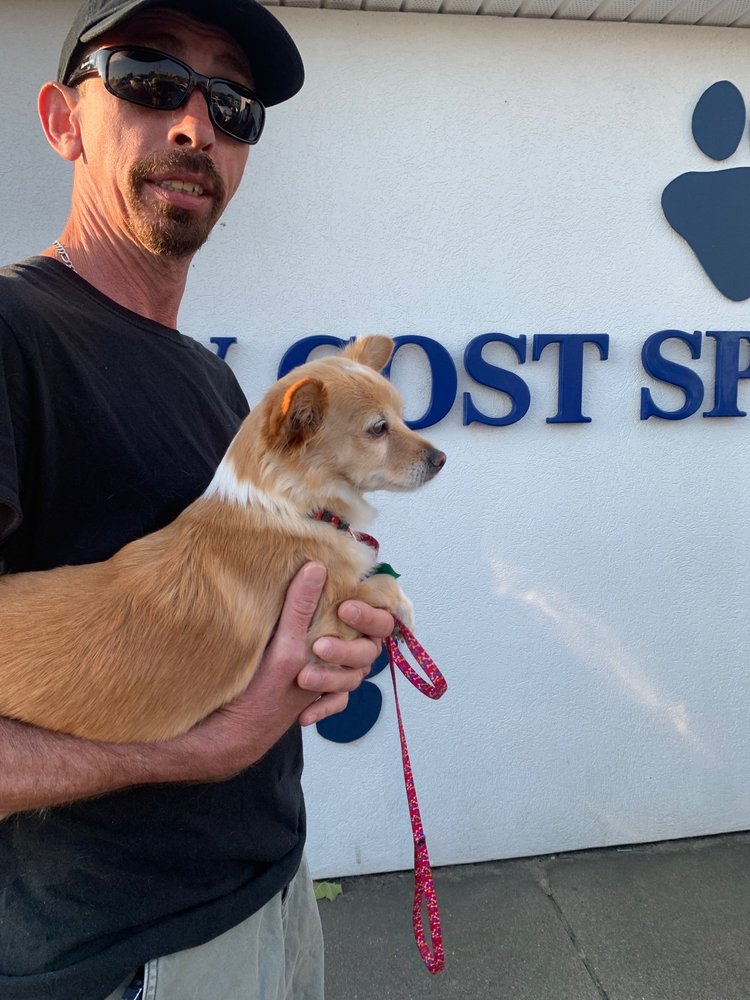 HELP FOR ANIMALS Updated September 2024 13 Reviews One Humane Way