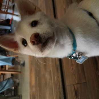 Hellbent Brewing Company - Dog friendly! - Sports Bars Near Me - Seattle, Washington Hellbent Brewing Company - Dog friendly! - Sports Bars Near Me - Seattle, Washington