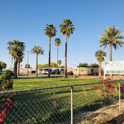 Palms Mobile Home RV Park - Park in April