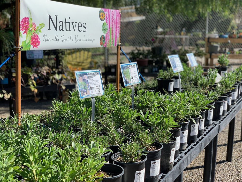 900 Rancho San Diego Pkwy, El Cajon, California Nurseries & Gardening