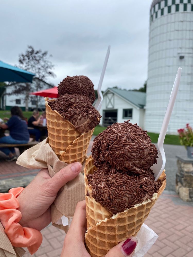 RICH FARM ICE CREAM SHOP 174 Photos & 343 Reviews 691 Oxford Rd