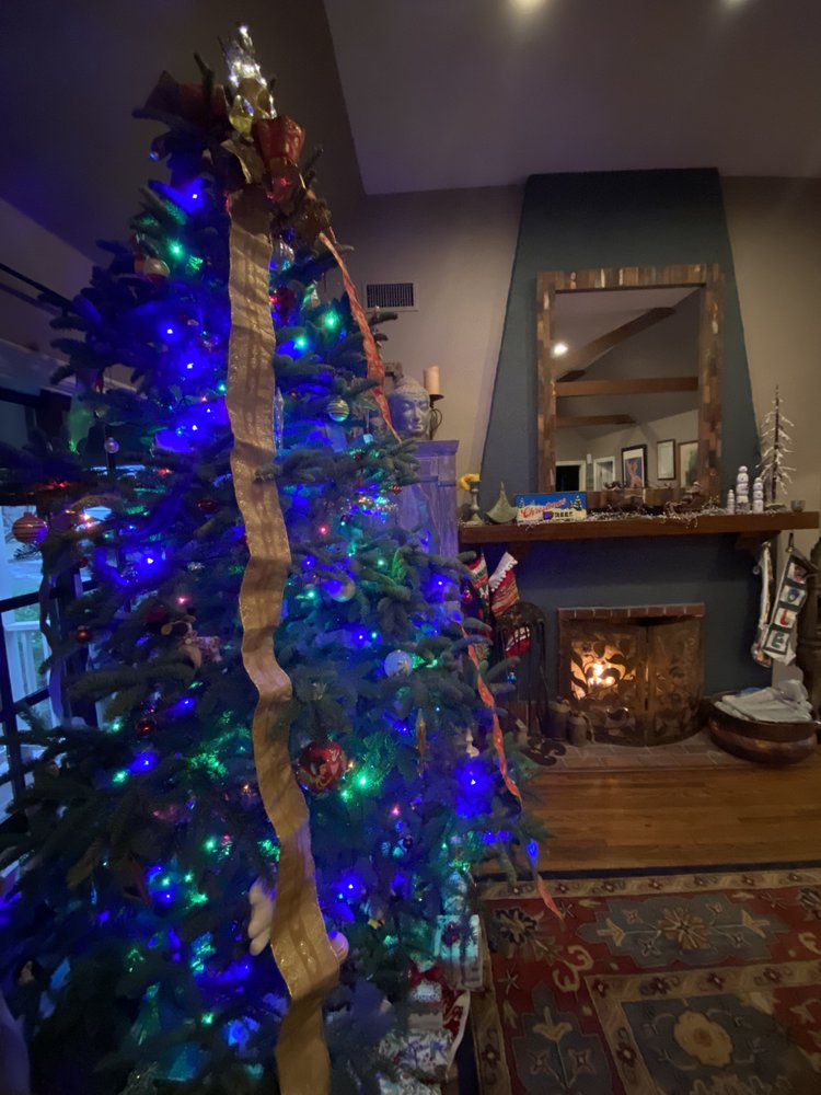 SANTA & MIKEY’S FRESH CHRISTMAS TREES Updated October 2024 73