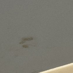 Southcoast Health Urgent Care Center - Poop on the wall?