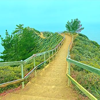 Muir Beach Overlook - Muir Beach Outlook - Parks Near Me - Muir Beach, California