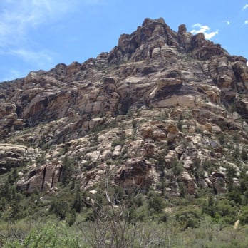La Madre Springs - Nice way to spend a morning. Busy trail, lots of people and dogs. No longhorns yesterday :(( - Hiking Near Me - Las Vegas, Nevada La Madre Springs - Nice way to spend a morning. Busy trail, lots of people and dogs. No longhorns yesterday :(( - Hiking Near Me - Las Vegas, Nevada