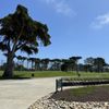 Harding Park Clubhouse gift card