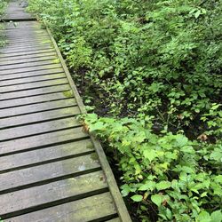 Emma Carlin Biking & Hiking Trails