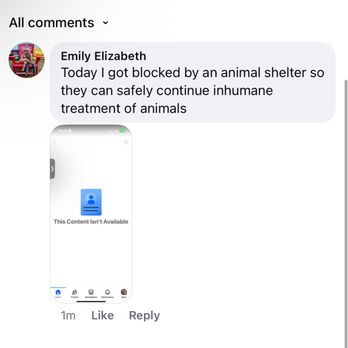 Kind Keeper Animal Rescue - The shelter blocking me for sharing my experience. - Animal Shelters Near Me - North Myrtle Beach, South Carolina
