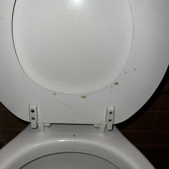 West Plains Motel - This is some mystery brown splashes on my toilet when I got there. - Hotels Near Me - West Plains, Missouri West Plains Motel - This is some mystery brown splashes on my toilet when I got there. - Hotels Near Me - West Plains, Missouri