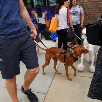Paws on Chicon - Pawwrifric! - Pet Stores Near Me - Austin, Texas Paws on Chicon - Pawwrifric! - Pet Stores Near Me - Austin, Texas
