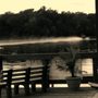 Photo of Midway Marine