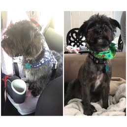 Tucker's before and after