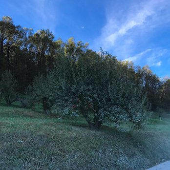 The Orchard At Altapass - Community Service/Non-Profit Near Me - Spruce Pine, North Carolina The Orchard At Altapass - Community Service/Non-Profit Near Me - Spruce Pine, North Carolina