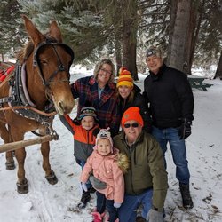 Aspen Carriage and Sleigh