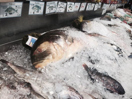 149 Steam Fish by null