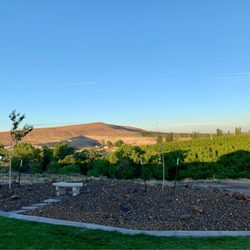 Wine Country Landscaping and Construction - Great job!