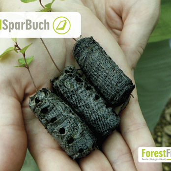 ForestFinance - Financial Advising Near Me - Bonn, NW ForestFinance - Financial Advising Near Me - Bonn, NW