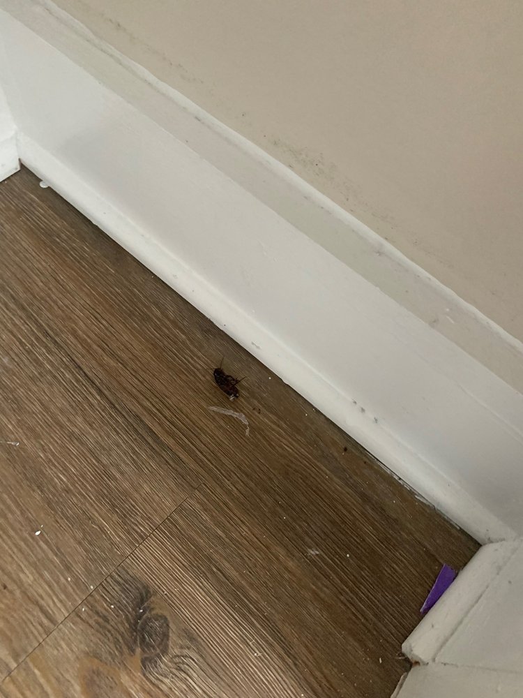 Embassy Tower - property management company in Washington, DC, DC