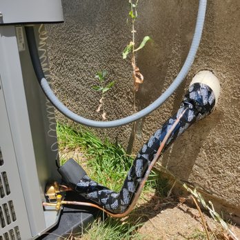 Dandy Heating and Air - The setup looks super clean. - Heating & Air Conditioning/HVAC Near Me Dandy Heating and Air - The setup looks super clean. - Heating & Air Conditioning/HVAC Near Me