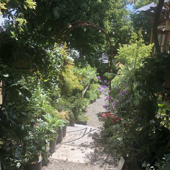 Urban Earth - Nurseries & Gardening Near Me - Seattle, Washington Urban Earth - Nurseries & Gardening Near Me - Seattle, Washington