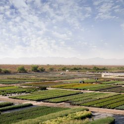 Civano Growers - Aerial view of our 70-acre farm.
