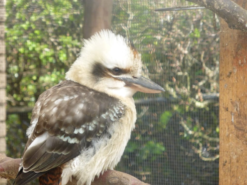 Calderglen Country Park