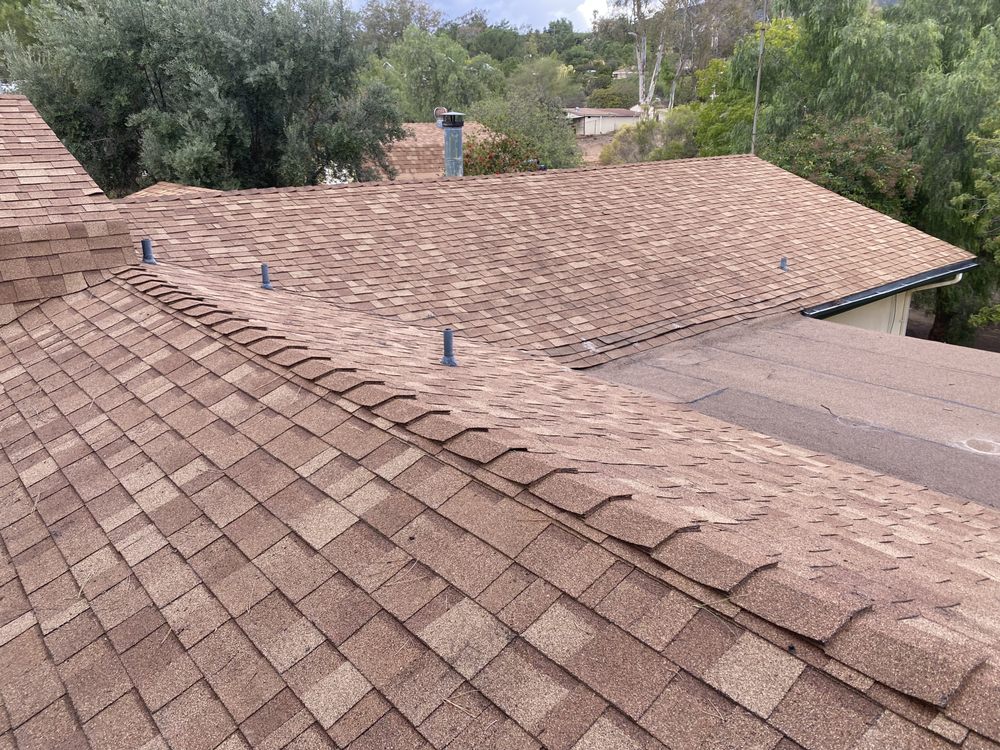 Slide of David Handyman