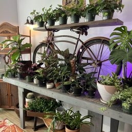 Great plant selection!
